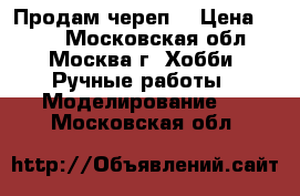 Продам череп  › Цена ­ 400 - Московская обл., Москва г. Хобби. Ручные работы » Моделирование   . Московская обл.